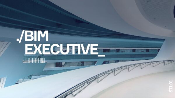 BIM Executive